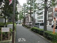 植栽が綺麗に建ち並んでいます