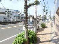 街路樹のある前面歩道