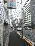 綺麗に舗装された歩道