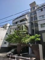 １階にはシンボリックな植栽が設けられています