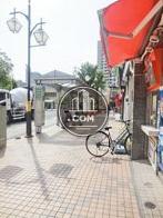 綺麗に舗装された歩道