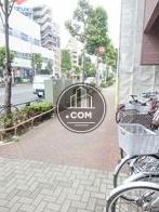 街路樹のある通り