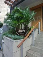 玄関前の大きな植物があります