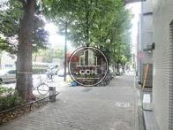 綺麗に舗装された公道