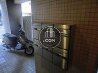 大きめの郵便ポストを採用しています