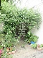 植栽で囲われた通用口