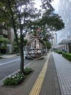 正面の通りもかなり整っています