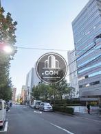 街路樹通り