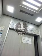 天井の照明