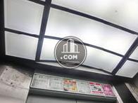 天井全体が照明として機能します