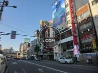向かいの道路から見た外観