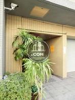 植栽が配置された玄関周り