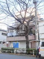 街路樹の立ち並ぶエリアに望めます