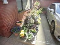 玄関口には植物が多くあります