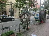 正面入口付近から見た周辺です
