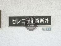 セレニティ西新井