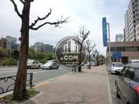 街路樹の配置された歩道