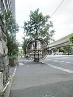 玄関口前の歩道
