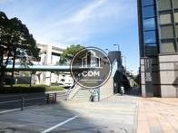 目の前に歩道橋があります