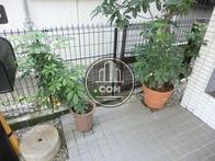 鉢植えが飾られています