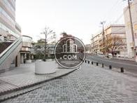 周りは公道です