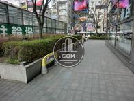 建物」敷地廻りです