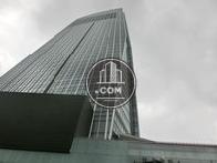 見上げた様子です