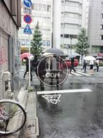 人通りが多いです