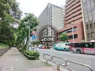 街路樹のある通り