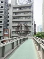 陸橋の上からの様子