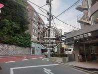 緑も視界に入ります