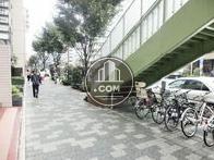 玄関前の歩道