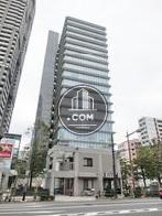 側面からの見え方