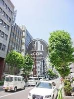 街路樹の立ち並ぶ通り