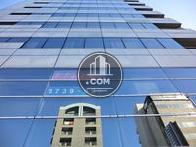 見上げた様子です