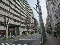 物件前の三鷹通り、南方向