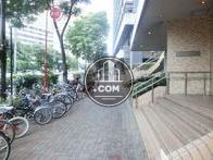 綺麗に舗装された歩道