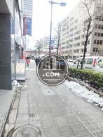 街路樹のある通り