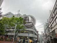 桜丘町らしい、静かな環境です
