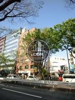 ２面が道路ですので開放感があります
