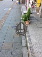 綺麗な歩道