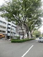 早大通り沿い