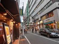大変栄えた街並みです