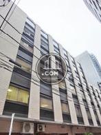 横側を見上げた様子