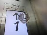 11名乗りです