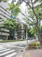 街路樹の多い通り