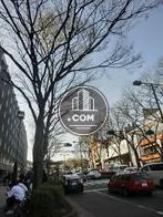 前面道路は表参道なので、印象は抜群に良いです