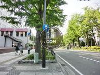 街路樹の多い通り