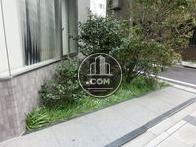 歩道沿いにある植栽です