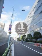 交通量は比較的少ないエリアです